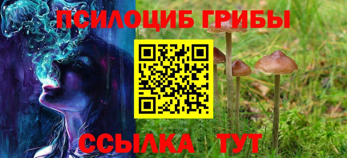 Кропоткин  Галлюциногенные грибы мицелий  дарнет шоп  Вход с VPN  Псилоцибиновые грибы мухоморы 