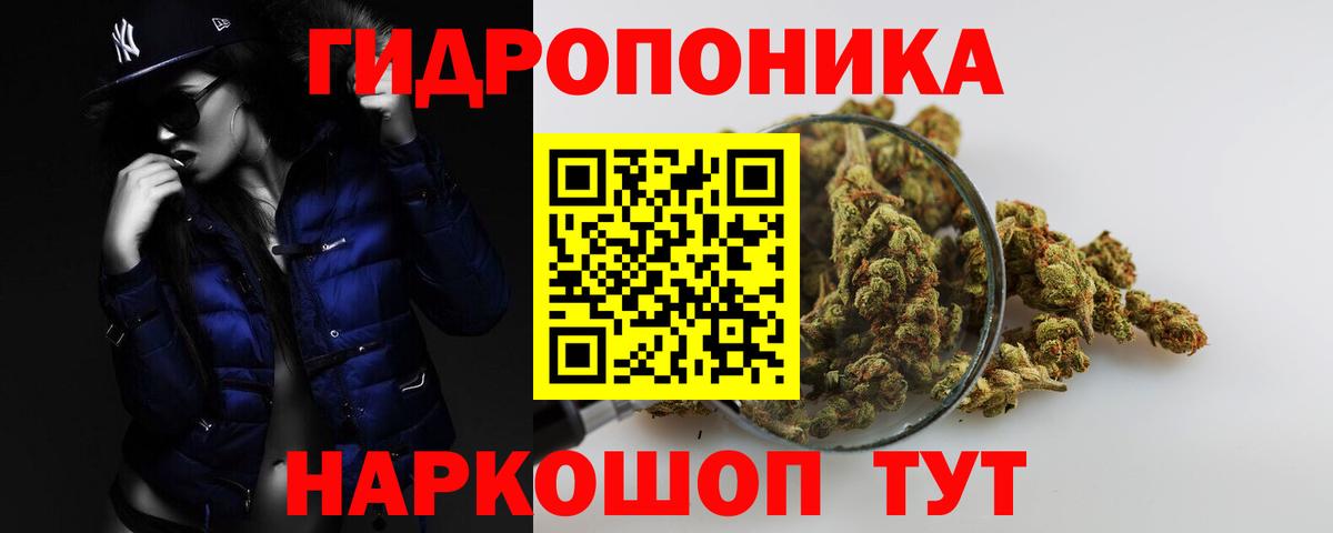 Бошки Шишки сатива  Марихуана тримм  Вход с VPN  Конопля индика  Кропоткин 